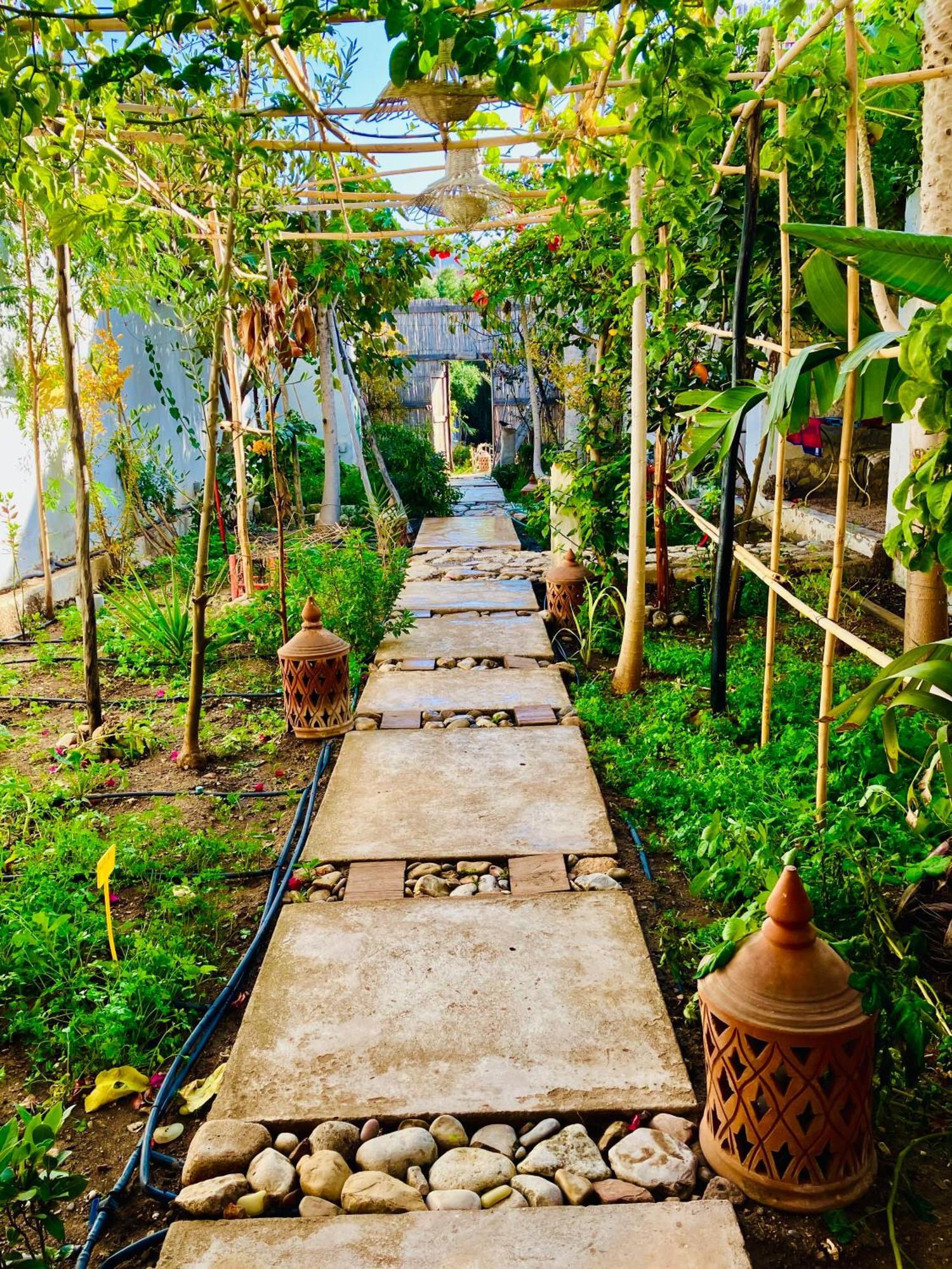 Paradise Guest House Agadir Eksteriør billede
